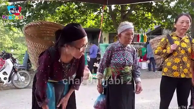 Harvesting guava fruit gardens to the market to sell - Making garden