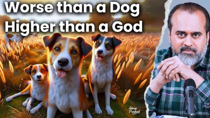 Worse than a dog, Higher than a god || Acharya Prashant (2017)