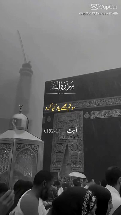 quran translation
