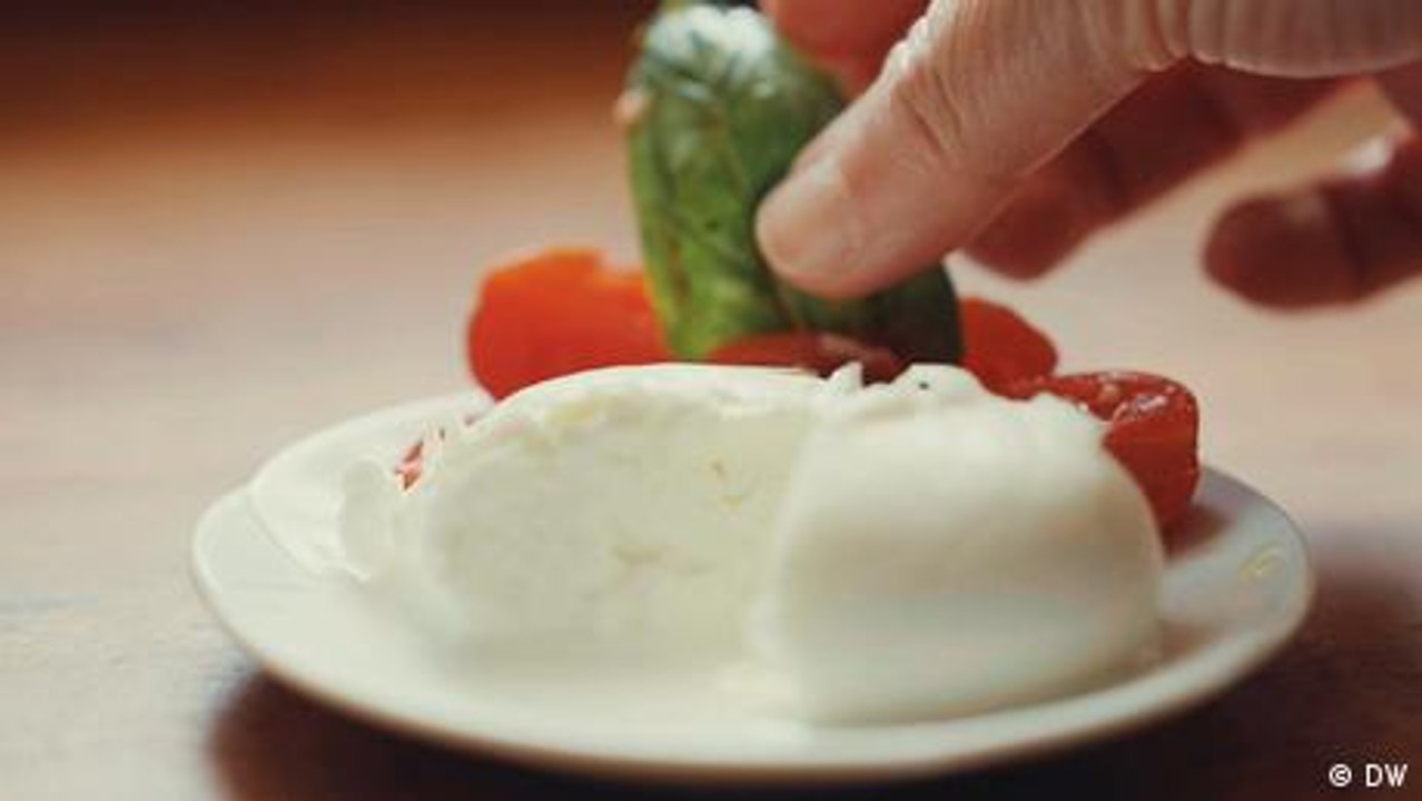 Büffelmozzarella aus Italien: So entsteht das Original