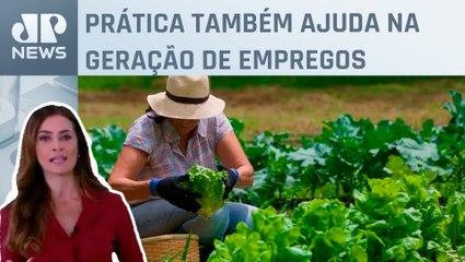 Agricultura urbana reduz temperaturas e aquecimento; Patrícia Costa comenta