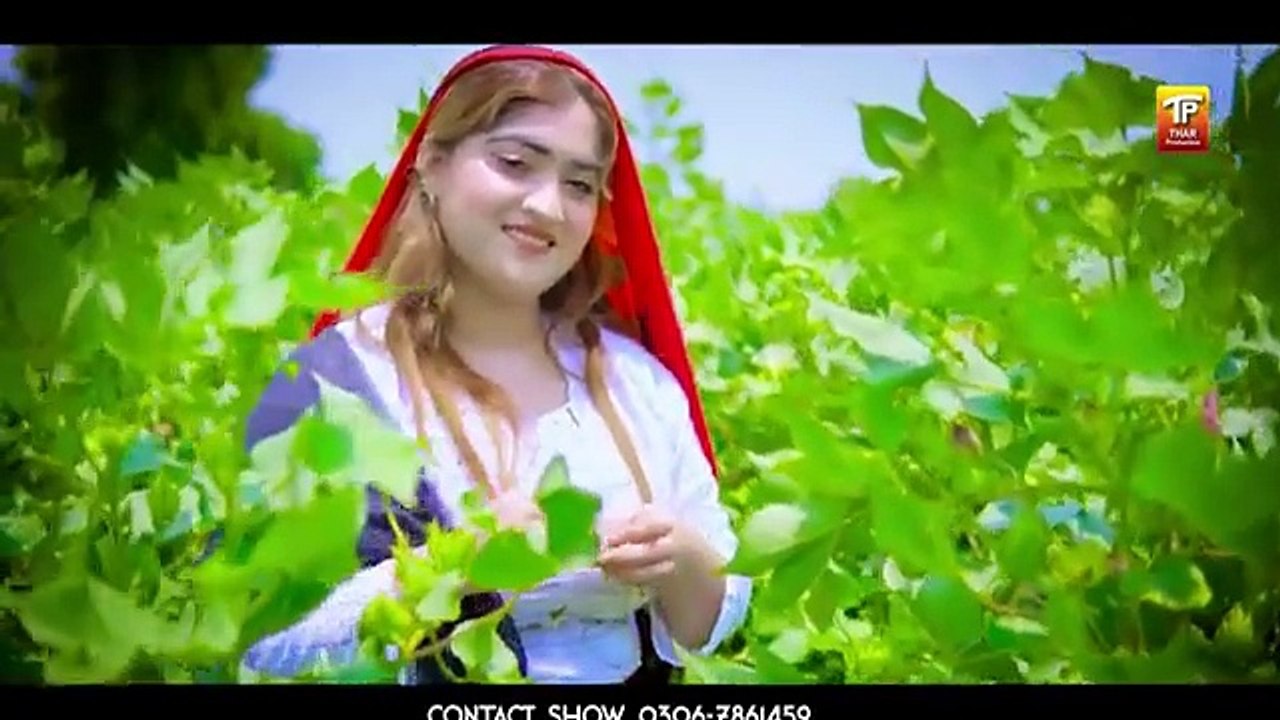 Kapha , Awais Prince Ali  (Official Music Video 2024) | Thar Production
