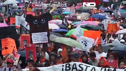 Mexico City Protest Highlights Pets as Family 🐾