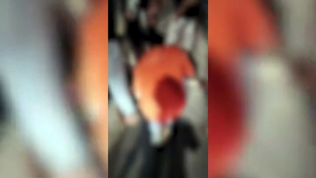 RISSA CONTEMPLAZIONE, VIDEO AL VAGLIO DEI CARABINIERI