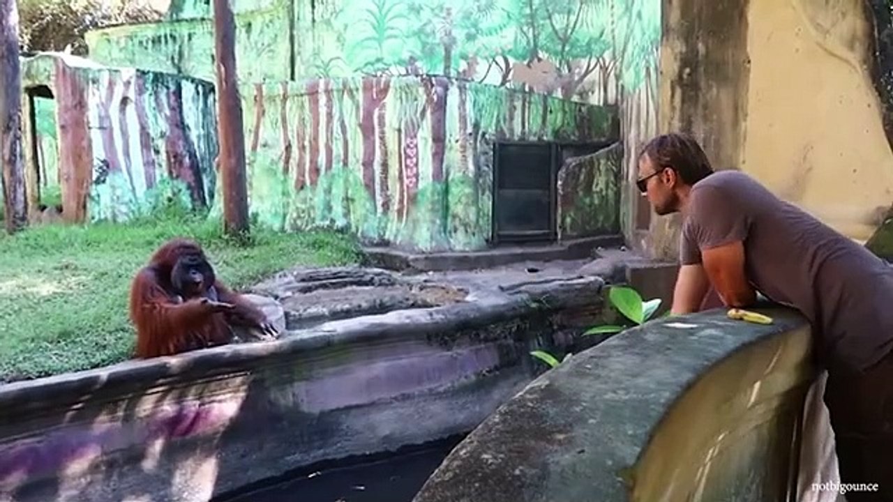 videoplayback (6)