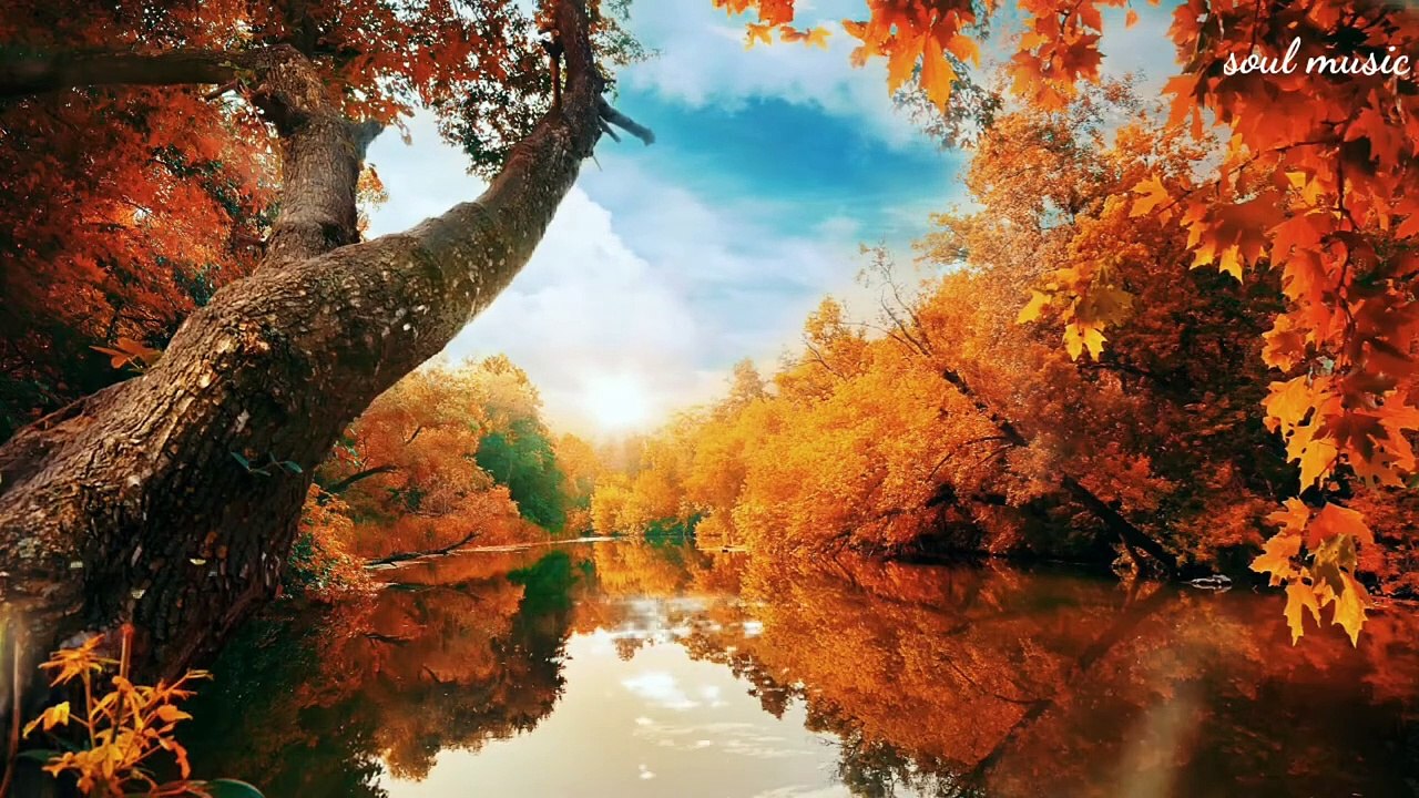 Beautiful Relaxing Music • Peaceful Piano Music & Guitar Music _ Sunny Mornings