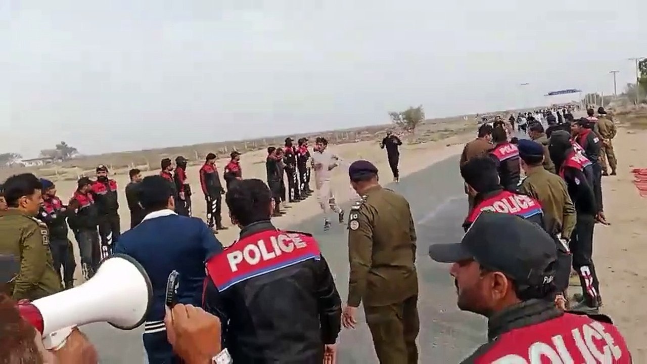 Dolphin Police 