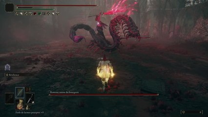 Romina combat - Shadow of the Erdtree