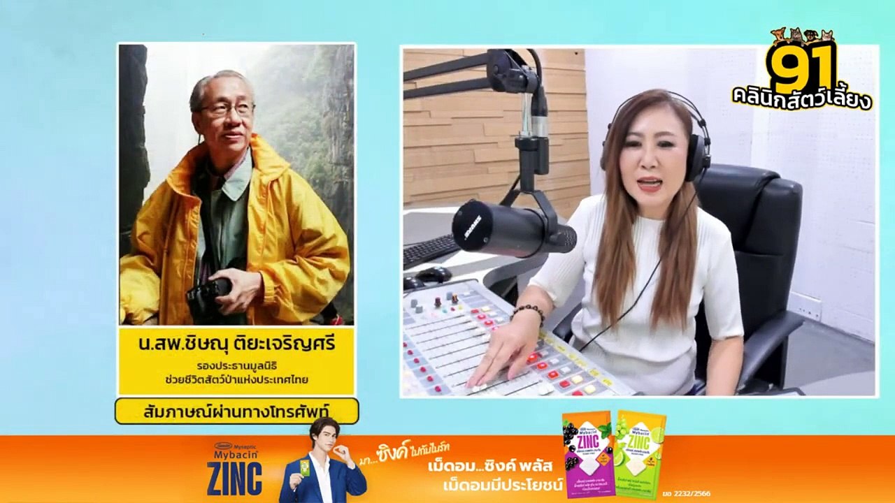 วิธีดูแลโรคหัวใจและโรคไตในสัตว์เลี้ยง EP.2 : FM91 คลินิกสัตว์เลี้ยง : 30 มิถุนายน 2567