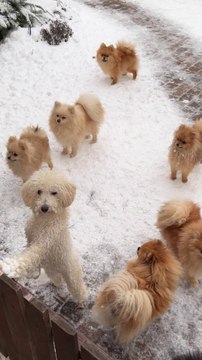 #birds #bird #nature #birdsofinstagram #wildlife #birdphotography #naturephotography #wildlifephotography #photography