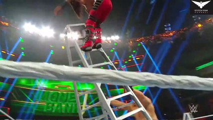 WWE Money In The Bank Broke Lesnar Wins The Ladder Match