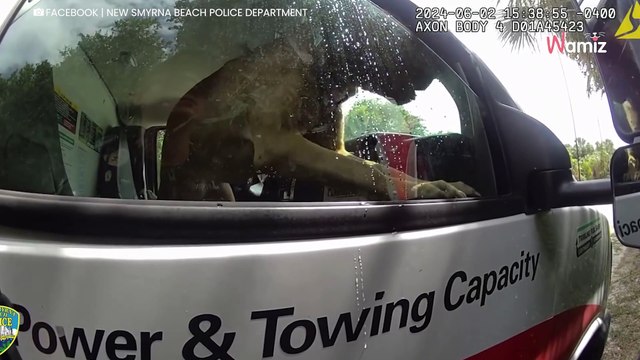 Video. Lasciano il cane chiuso in macchina al sole per andare in spiaggia: interviene la polizia