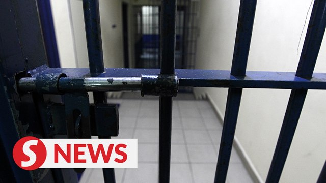 All deaths in Immigration, police custody this year due to illness, says Home Ministry