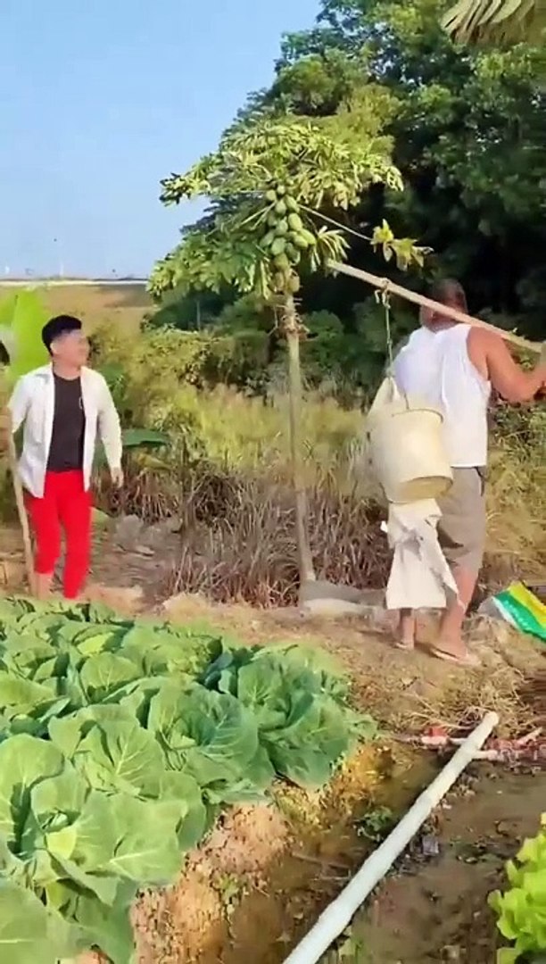 Funny entertainment video