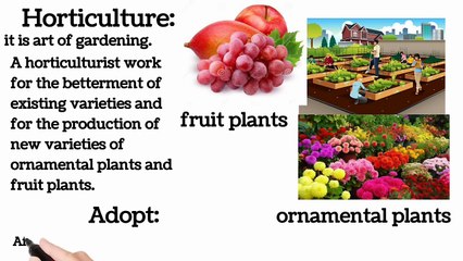 Careers in Biology | Lec # 6(ii) | chp #1 | Introduction to Biology