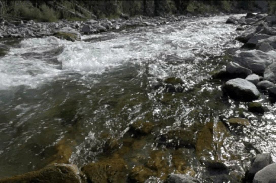 3M TV Wild Ocean waves waterstream forest birds chirping sweetly relax chill