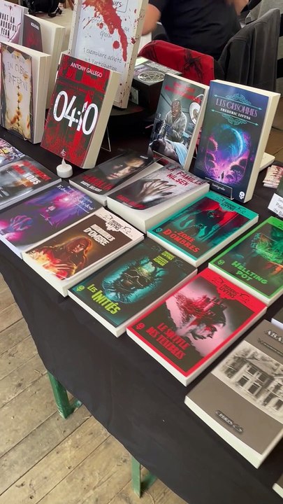 Les Imaginales à Epinal ( le 26 mai 2024)