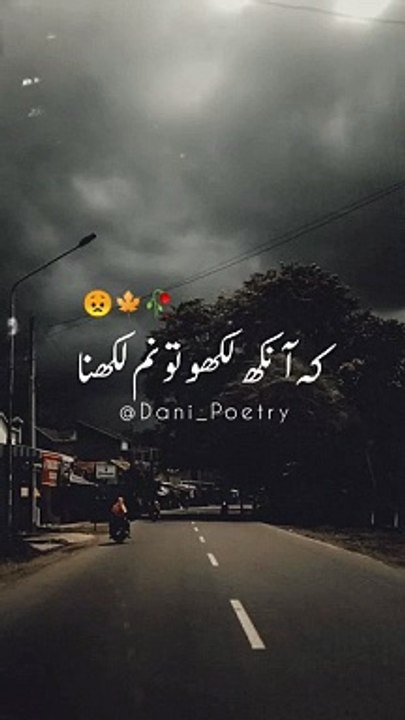 Shayari video funny pyari video