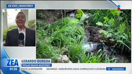 Veneros que permanecían dormidos despertaron y comenzaron a brotar en Monterrey