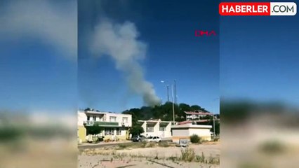 Edirne İpsala'da Orman Yangını Kontrol Altına Alındı