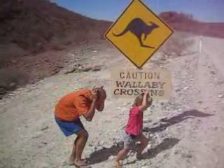 Crossing Wallabies