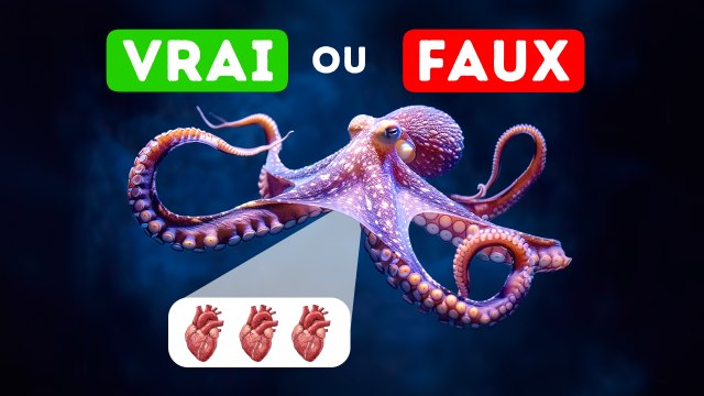 Les poulpes ont-ils trois cœurs ? Et d'autres faits surprenants