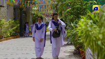 Chaal Episode 31 - [Eng Sub] - Ali Ansari - Zubab Rana - Arez Ahmed - 1st July 2024 - HAR PAL GEO