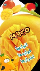 المانجو انواعها وفوائدها