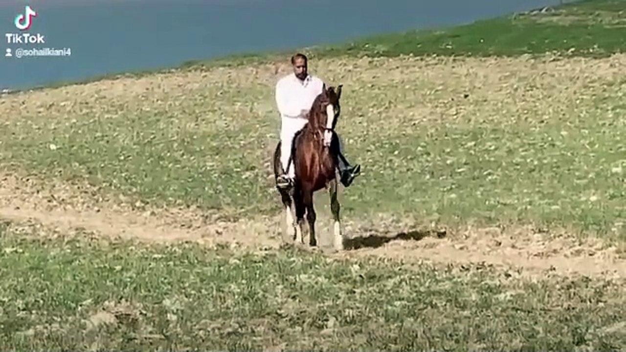 Uqaab AJK