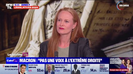 Législatives: "Nous ne sommes pas morts", affirme Violette Spillebout (Renaissance)