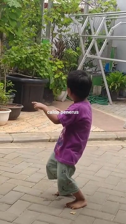 Goyang geboy
