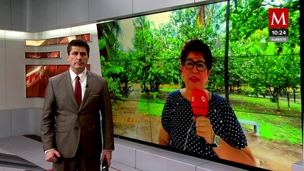 En Veracruz, Xalapa ha sido la ciudad más afectada por el huracán 'Chris'