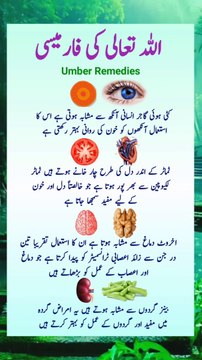 Allah Tala Ki Kudrat #Allah #islamic #reel #shorts #trending #wazifa