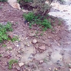 البراء غمدان التام وهو يصور السيول في ضهر ملاح