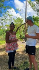 La Réunion - Sud Sauvage 