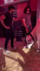 When ur friend is cute