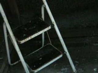 Mistinguette-Pienut et corneille d'éric