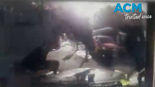 Army horses bolt through central London