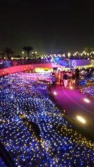 Night Out Beautifully view