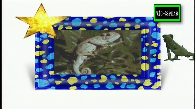 Animales Asombrosos: Animales camuflados - Documental (1996) Español Latino