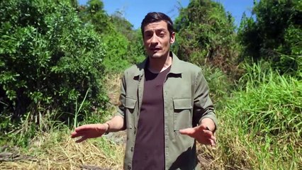 '¿Juego limpio o sucio?' - Tráiler oficial