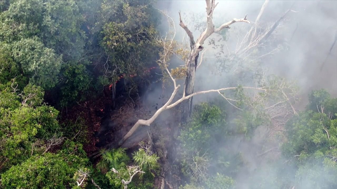 Incêndios na Amazônia legal batem recorde para um 1º semestre em 20 anos