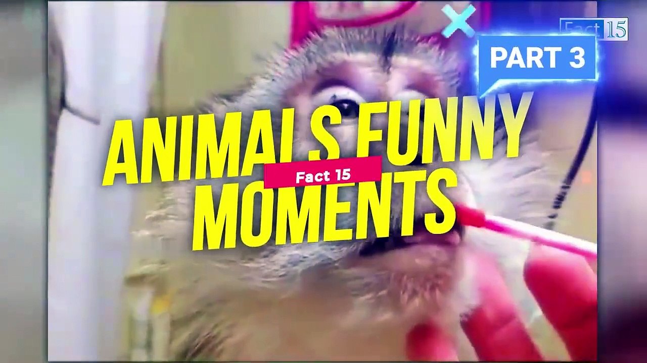 -इन जानवरों से पंगा ना बाबा ना ����.... Funny Animals Video 2022 (Part-3)-(720p)