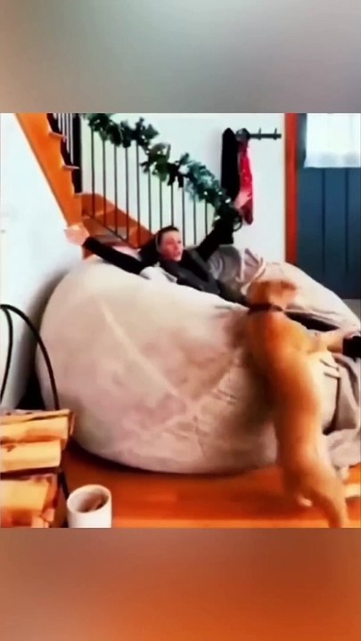 funny animals video #shortvideo #shorts-(1080p)