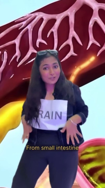 Funny Digestion song...