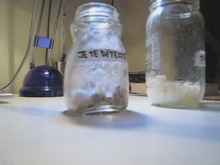 Expériences des pots de riz