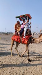 Camel ride along the seashore in India.
