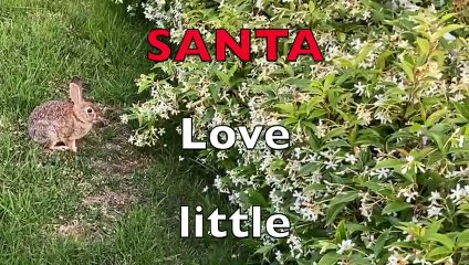 Do BUNNIES Sing?  Hippity-Hop YES!