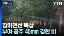 충남 공주·부여 시간당 40mm 폭우...나무 쓰러짐 등 피해신고 잇따라 / YTN