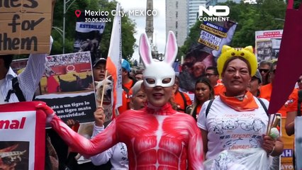 "Es ist meine Familie": Menschen demonstrieren für Tierrechte in Mexiko